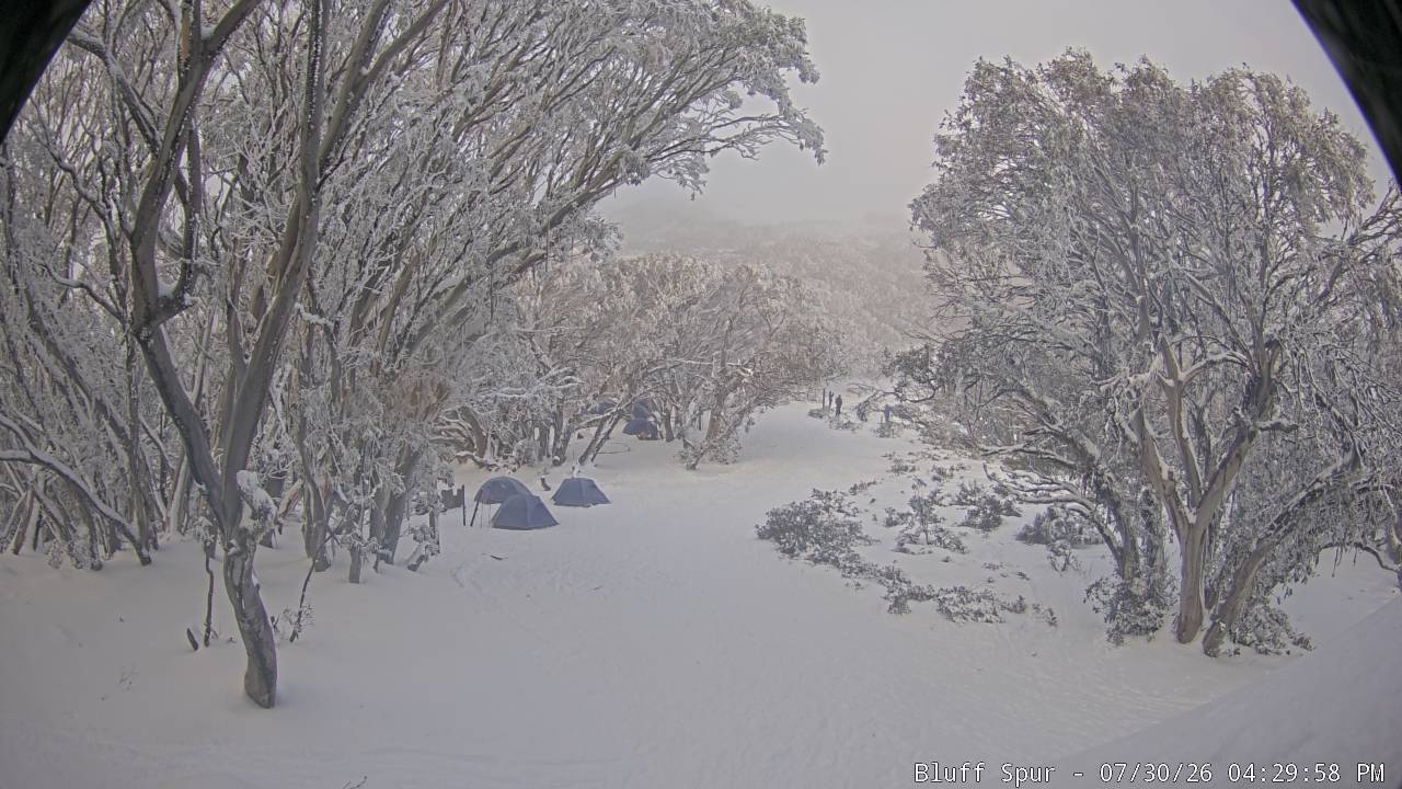 Mt Stirling Bluff Spur snow cam captured at 30 July 2026 at 4:39 pm AEST