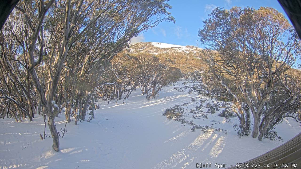 Mt Stirling Bluff Spur snow cam captured at 31 July 2026 at 4:40 pm AEST