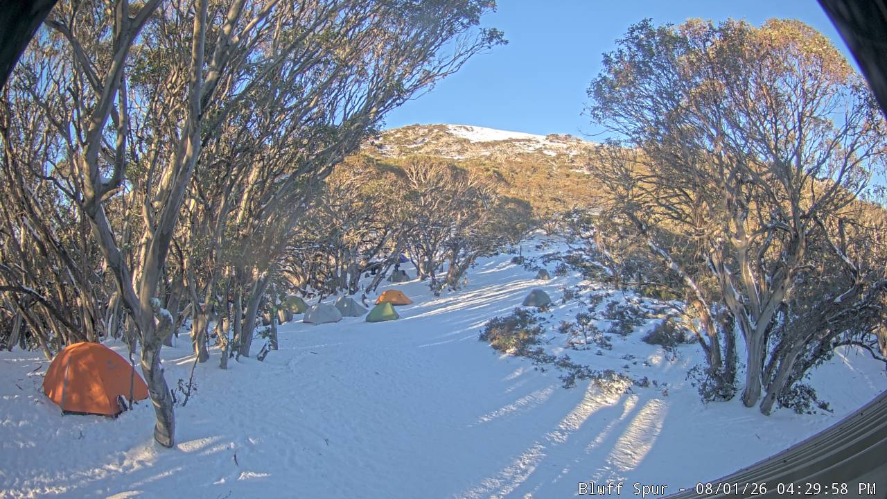 Mt Stirling Bluff Spur snow cam captured at 1 August 2026 at 4:35 pm AEST