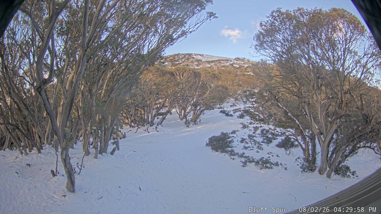 Mt Stirling Bluff Spur snow cam captured at 2 August 2026 at 4:32 pm AEST