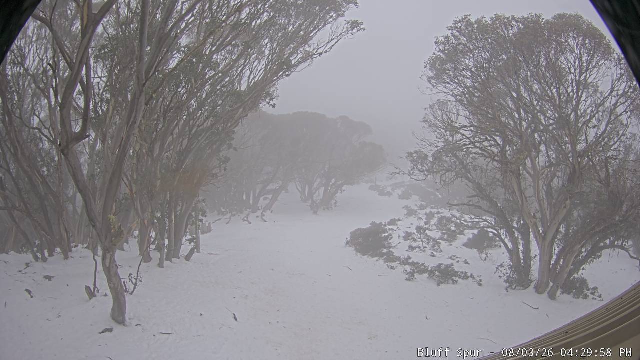 Mt Stirling Bluff Spur snow cam captured at 3 August 2026 at 4:33 pm AEST