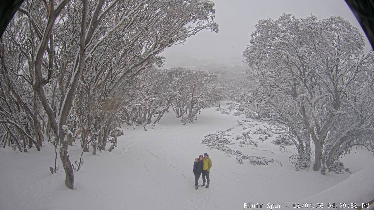 Mt Stirling Bluff Spur snow cam captured at 4 August 2026 at 4:34 pm AEST
