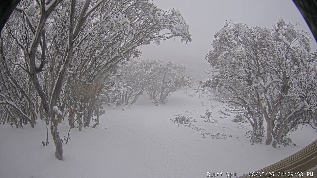 Mt Stirling Bluff Spur snow cam captured at 5 August 2026 at 4:35 pm AEST