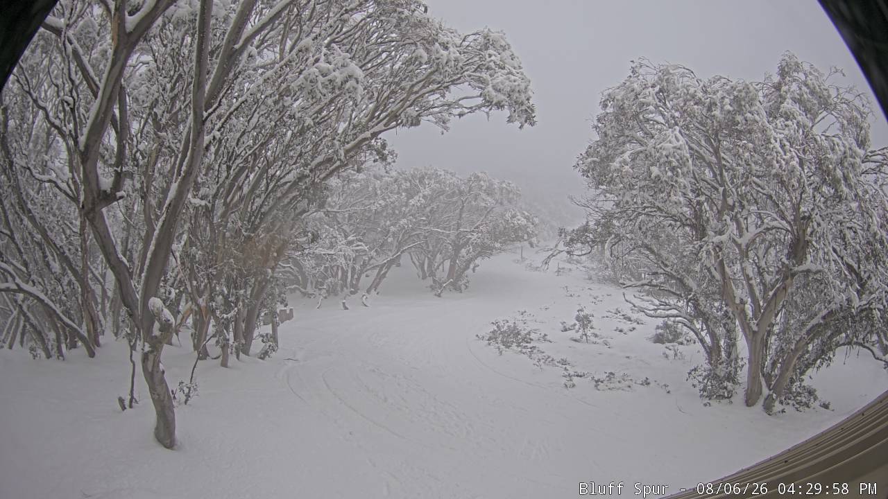 Mt Stirling Bluff Spur snow cam captured at 6 August 2026 at 4:36 pm AEST