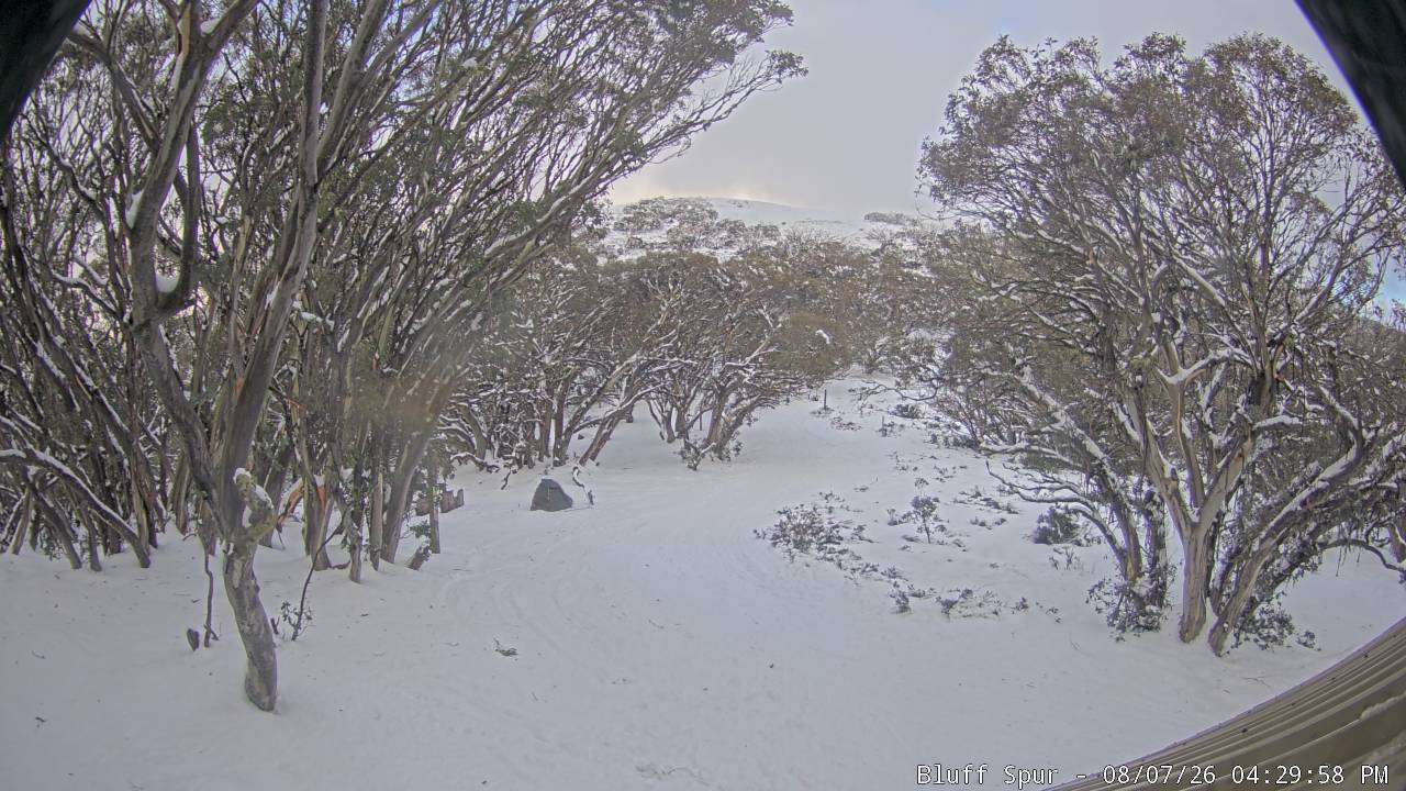 Mt Stirling Bluff Spur snow cam captured at 7 August 2026 at 4:37 pm AEST