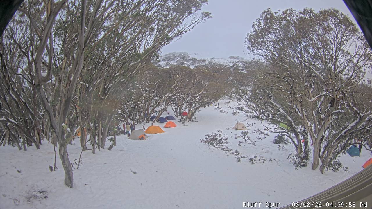 Mt Stirling Bluff Spur snow cam captured at 8 August 2026 at 4:38 pm AEST