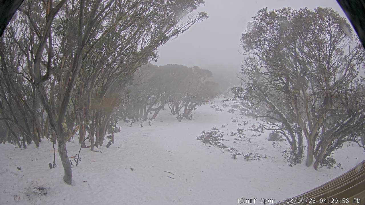 Mt Stirling Bluff Spur snow cam captured at 9 August 2026 at 4:39 pm AEST
