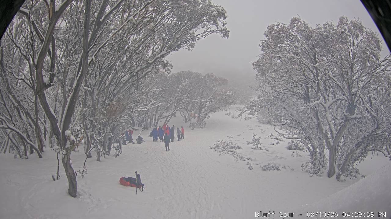 Mt Stirling Bluff Spur snow cam captured at 10 August 2026 at 4:37 pm AEST