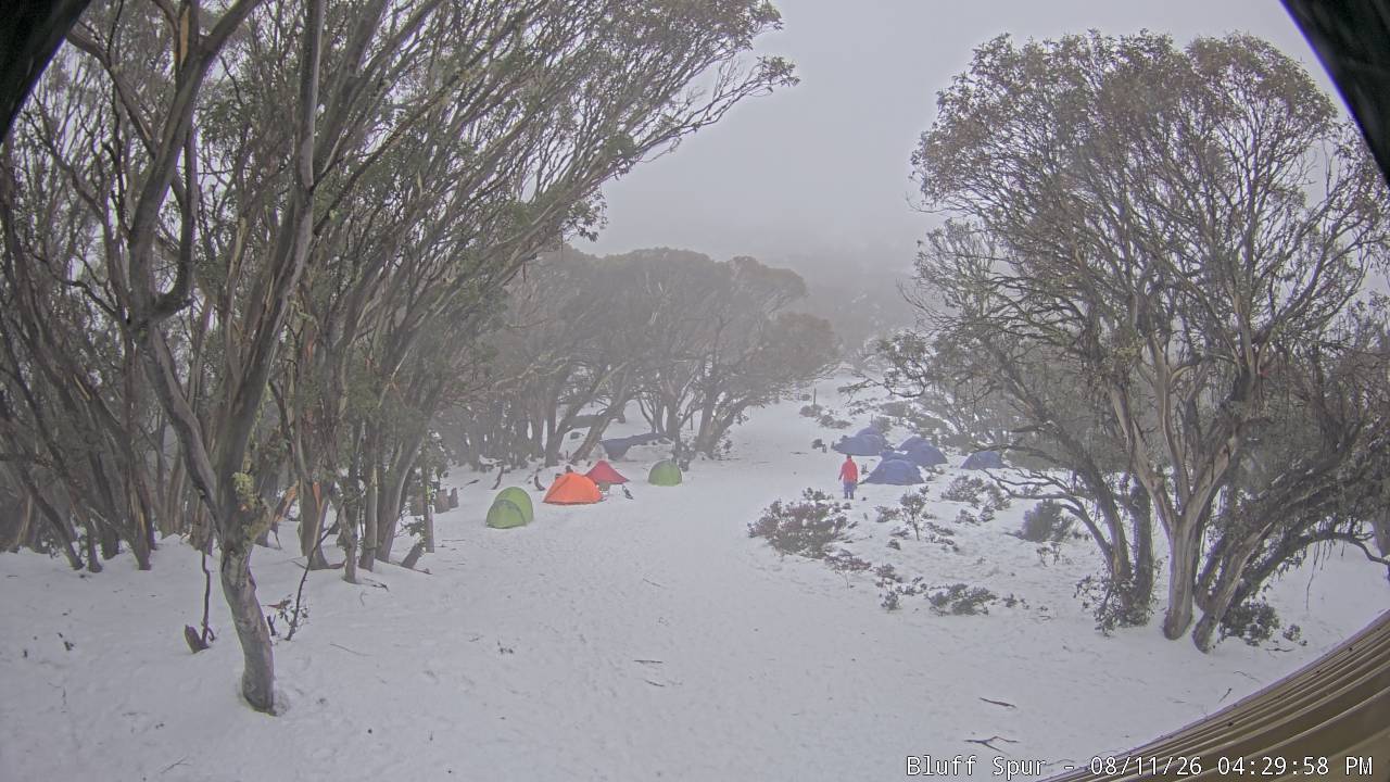 Mt Stirling Bluff Spur snow cam captured at 11 August 2026 at 4:39 pm AEST