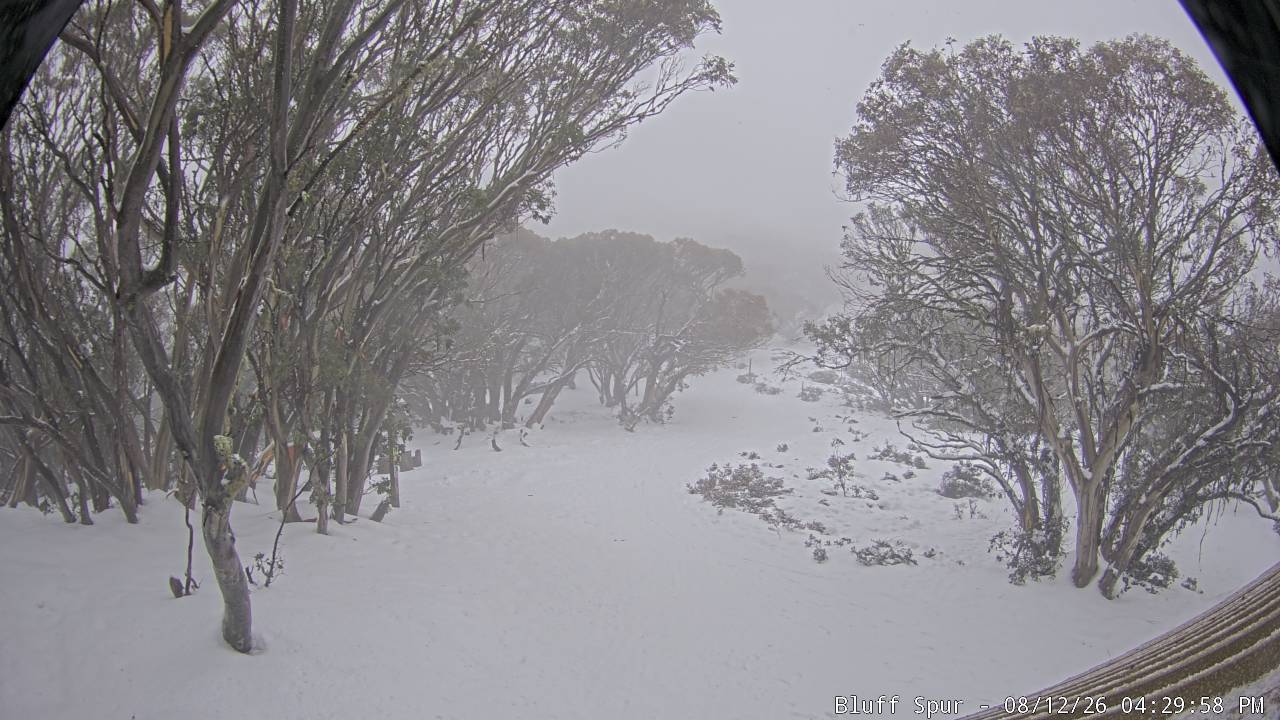 Mt Stirling Bluff Spur snow cam captured at 12 August 2026 at 4:33 pm AEST