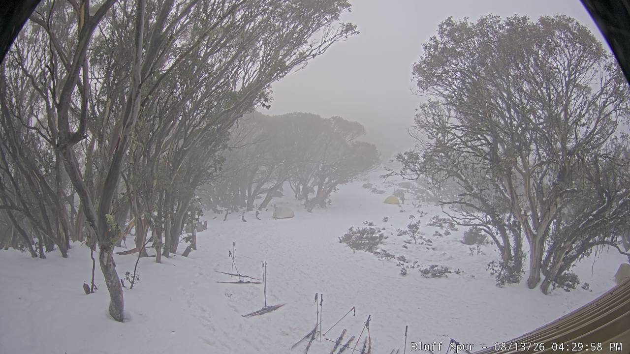 Mt Stirling Bluff Spur snow cam captured at 13 August 2026 at 4:34 pm AEST