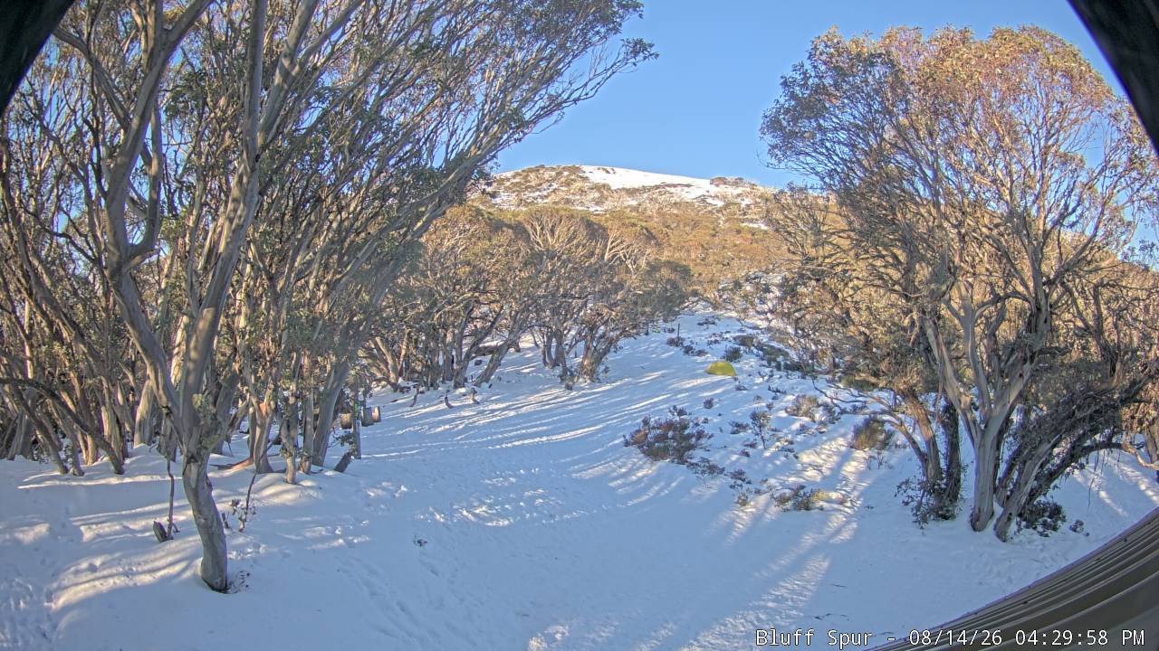 Mt Stirling Bluff Spur snow cam captured at 14 August 2026 at 4:35 pm AEST