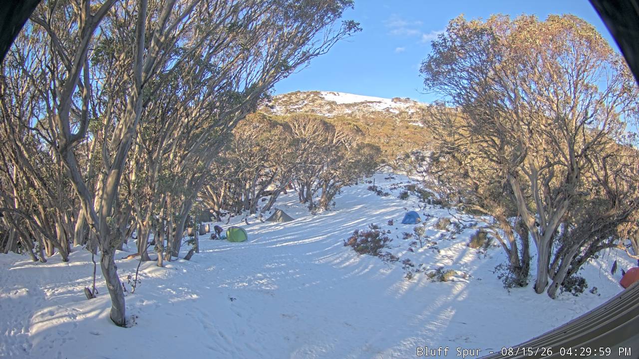 Mt Stirling Bluff Spur snow cam captured at 15 August 2026 at 4:36 pm AEST