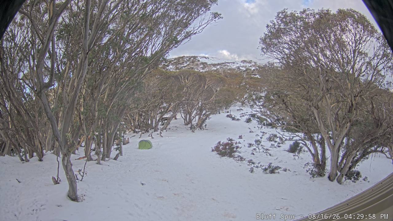 Mt Stirling Bluff Spur snow cam captured at 16 August 2026 at 4:37 pm AEST