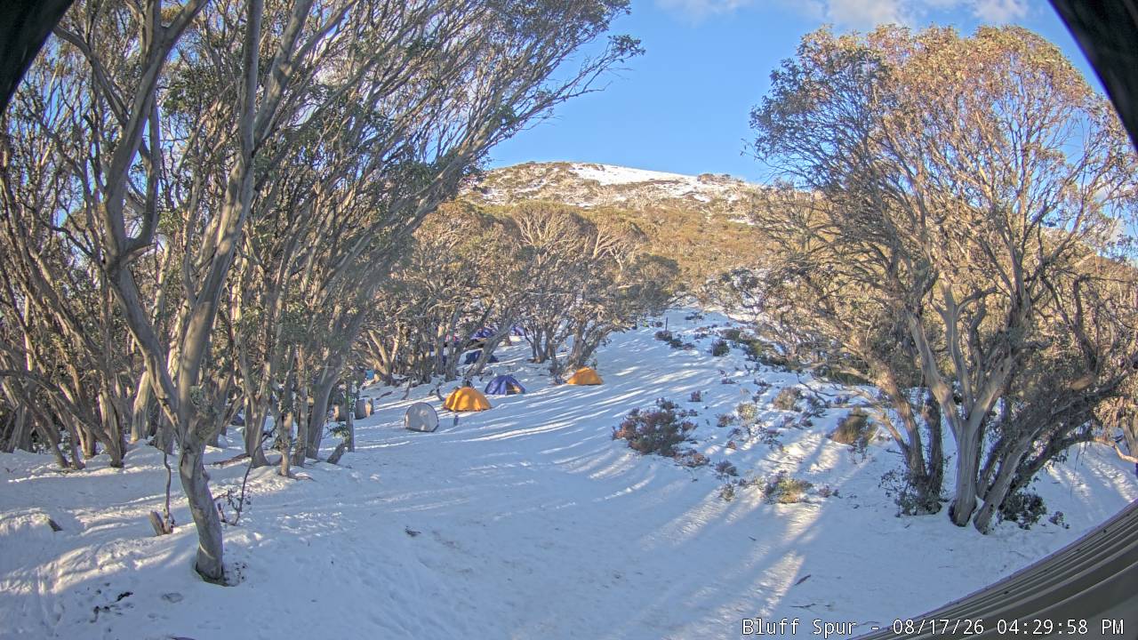 Mt Stirling Bluff Spur snow cam captured at 17 August 2026 at 4:38 pm AEST