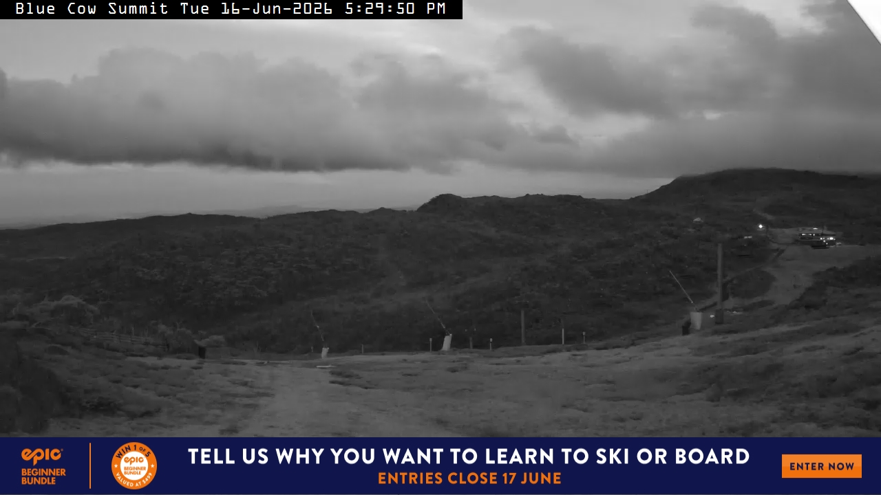 Perisher Blue Cow Summit webcam frame
