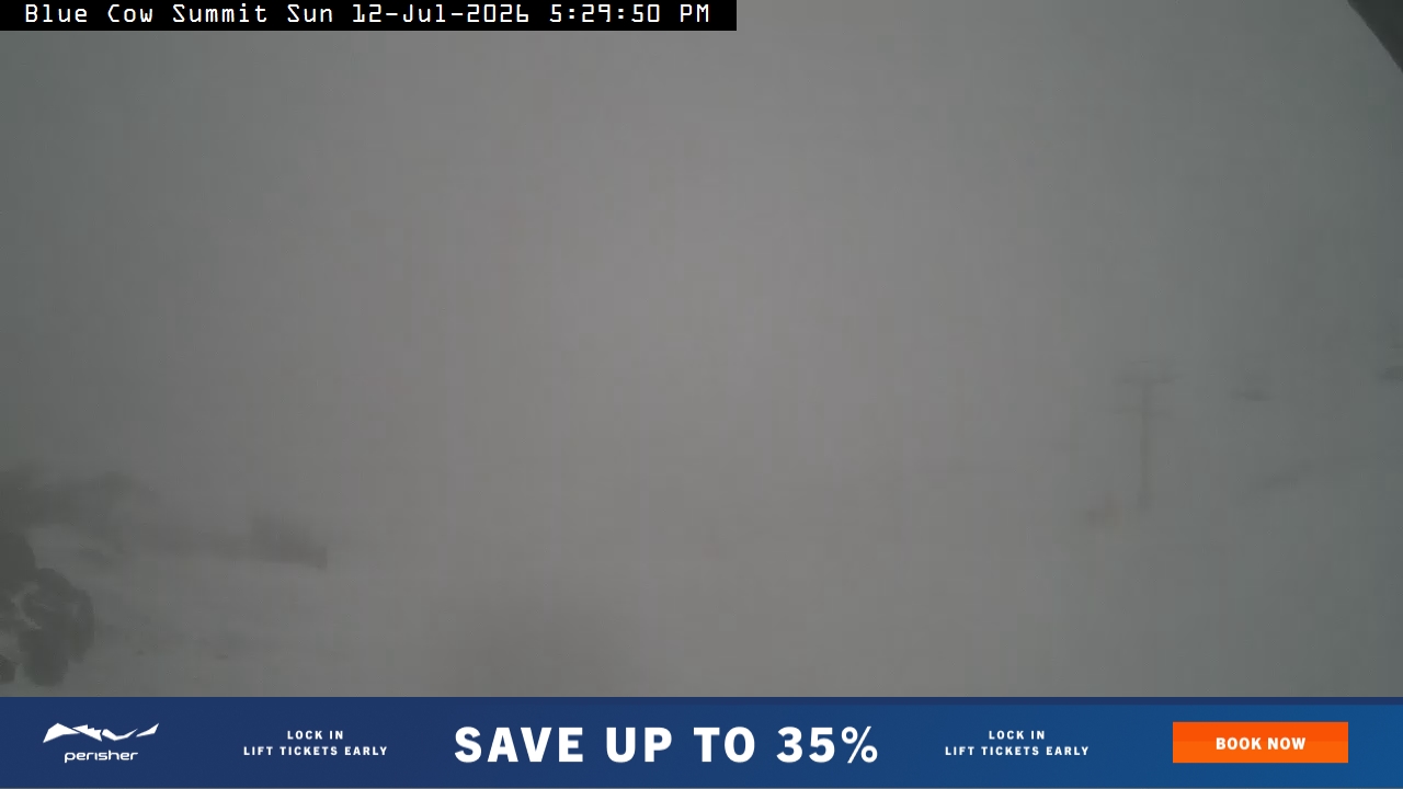 Perisher Blue Cow Summit snow cam captured at 12 July 2026 at 5:36 pm AEST