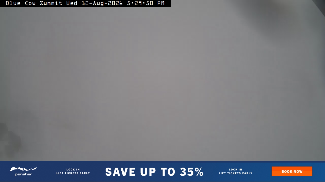 Perisher Blue Cow Summit snow cam captured at 12 August 2026 at 5:36 pm AEST