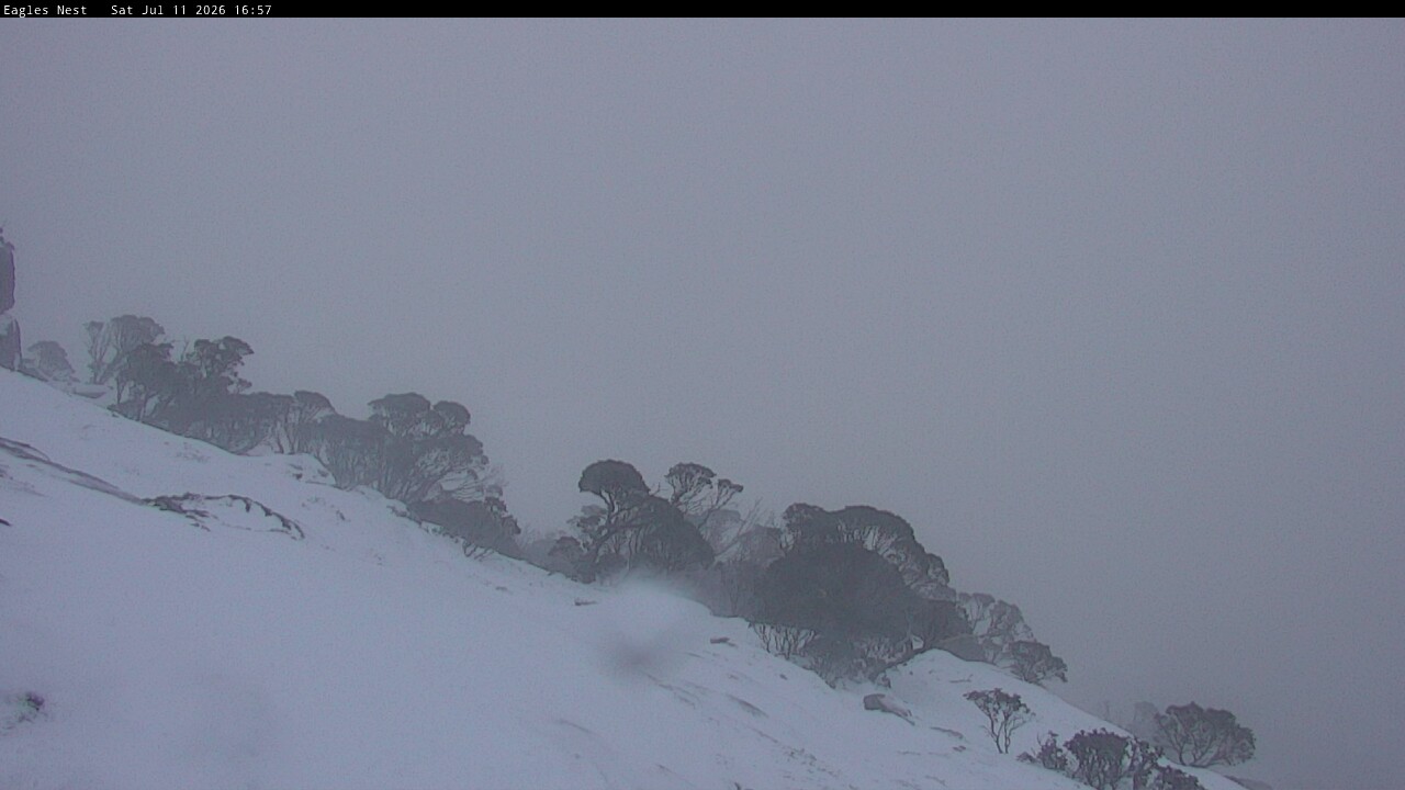 Thredbo Central Spur snow cam captured at 11 July 2026 at 5:03 pm AEST
