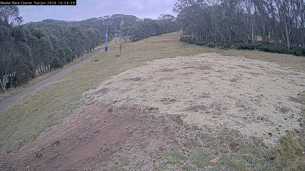 Thredbo Mid-Mountain webcam frame