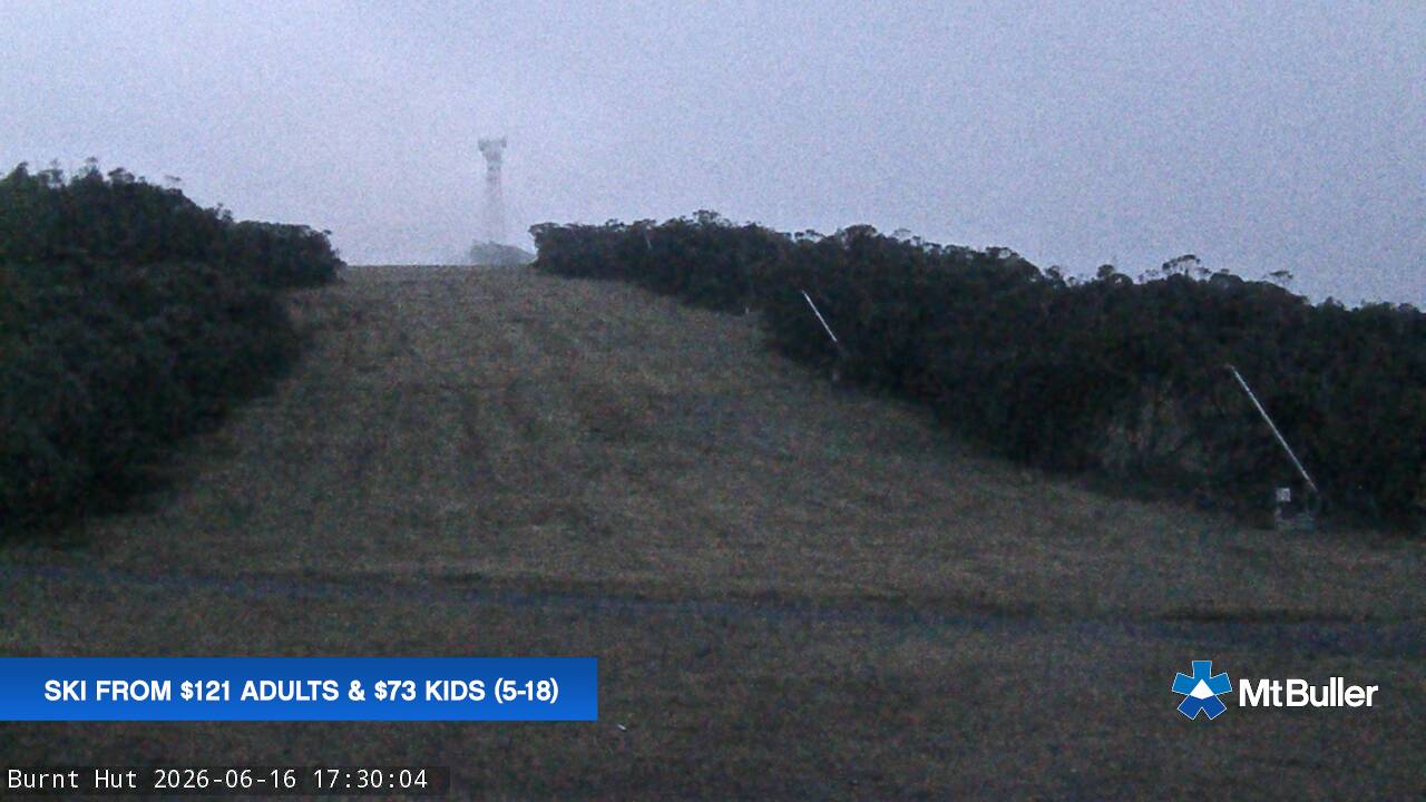 Mt Buller Burnt Hut webcam frame