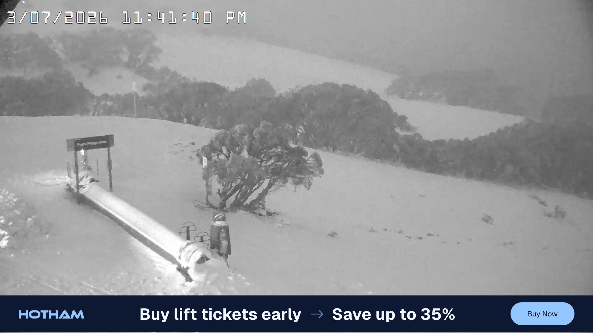Mt Hotham Pup's and Sun Run snow cam captured at 3 July 2026 at 11:43 pm AEST