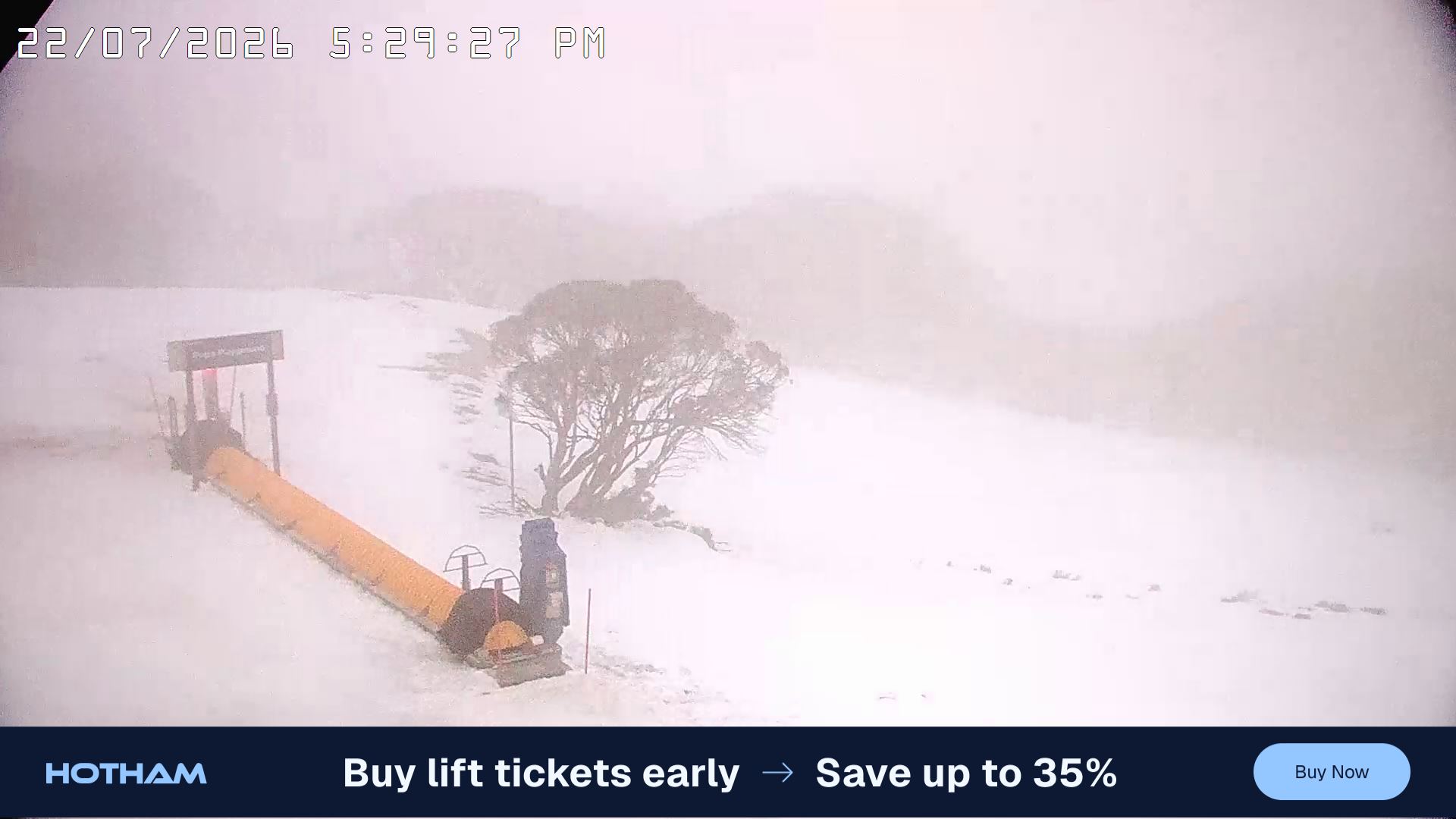 Mt Hotham Pup's and Sun Run snow cam captured at 22 July 2026 at 5:38 pm AEST