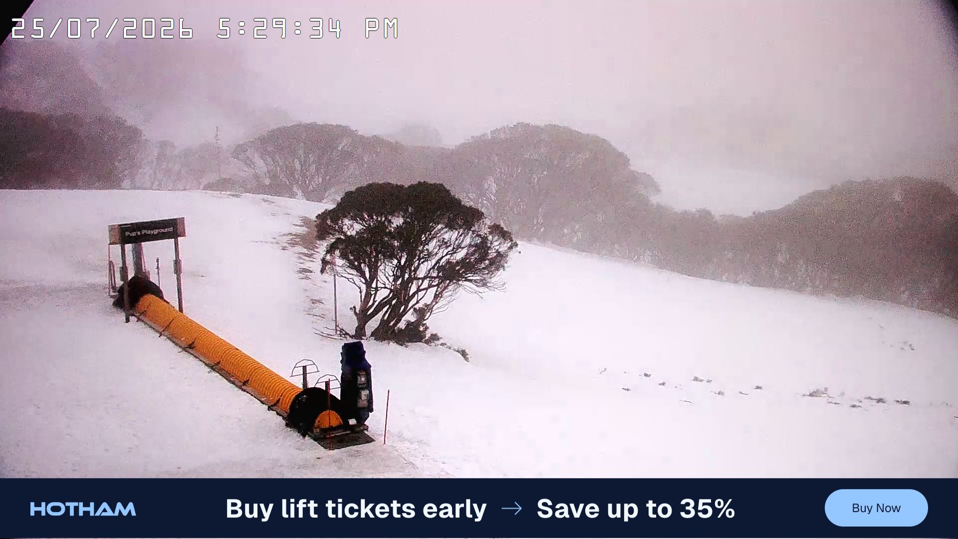 Mt Hotham Pup's and Sun Run snow cam captured at 25 July 2026 at 5:31 pm AEST