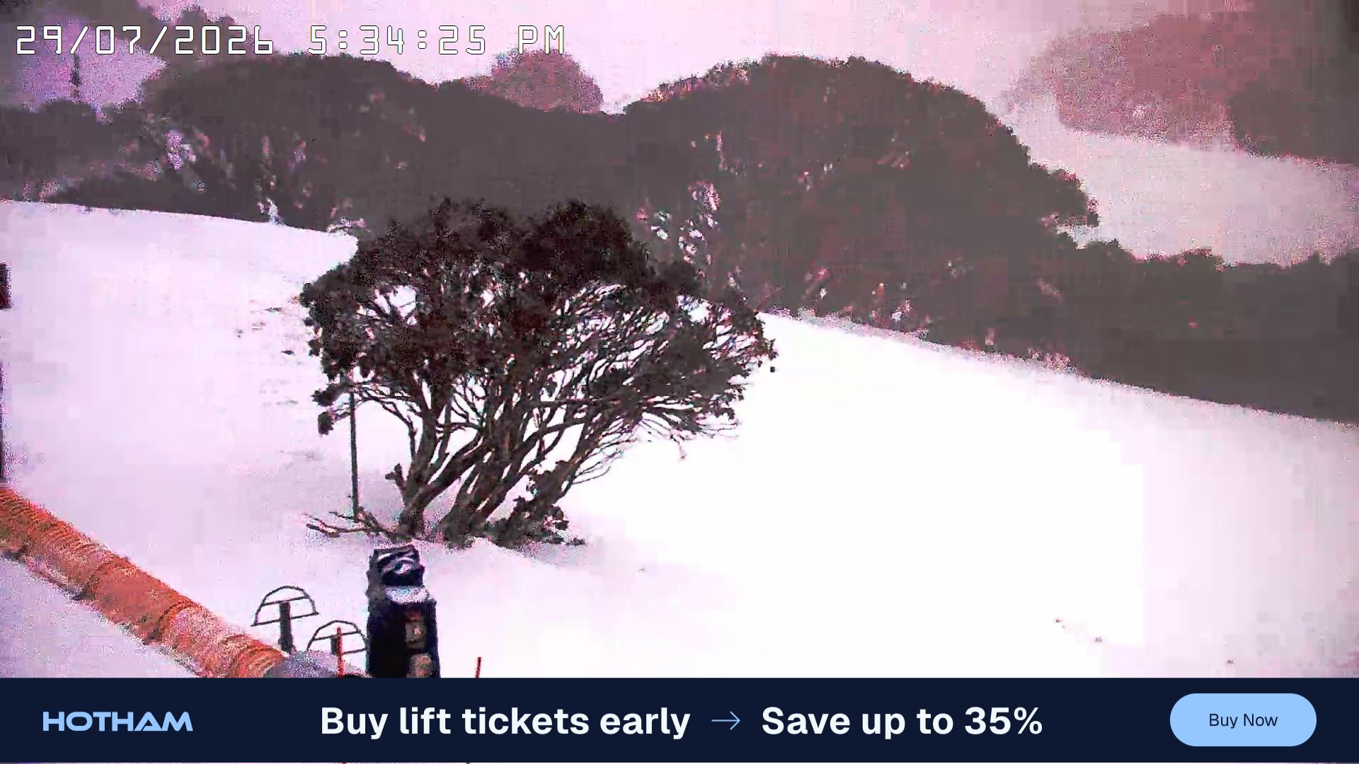 Mt Hotham Pup's and Sun Run snow cam captured at 29 July 2026 at 5:35 pm AEST