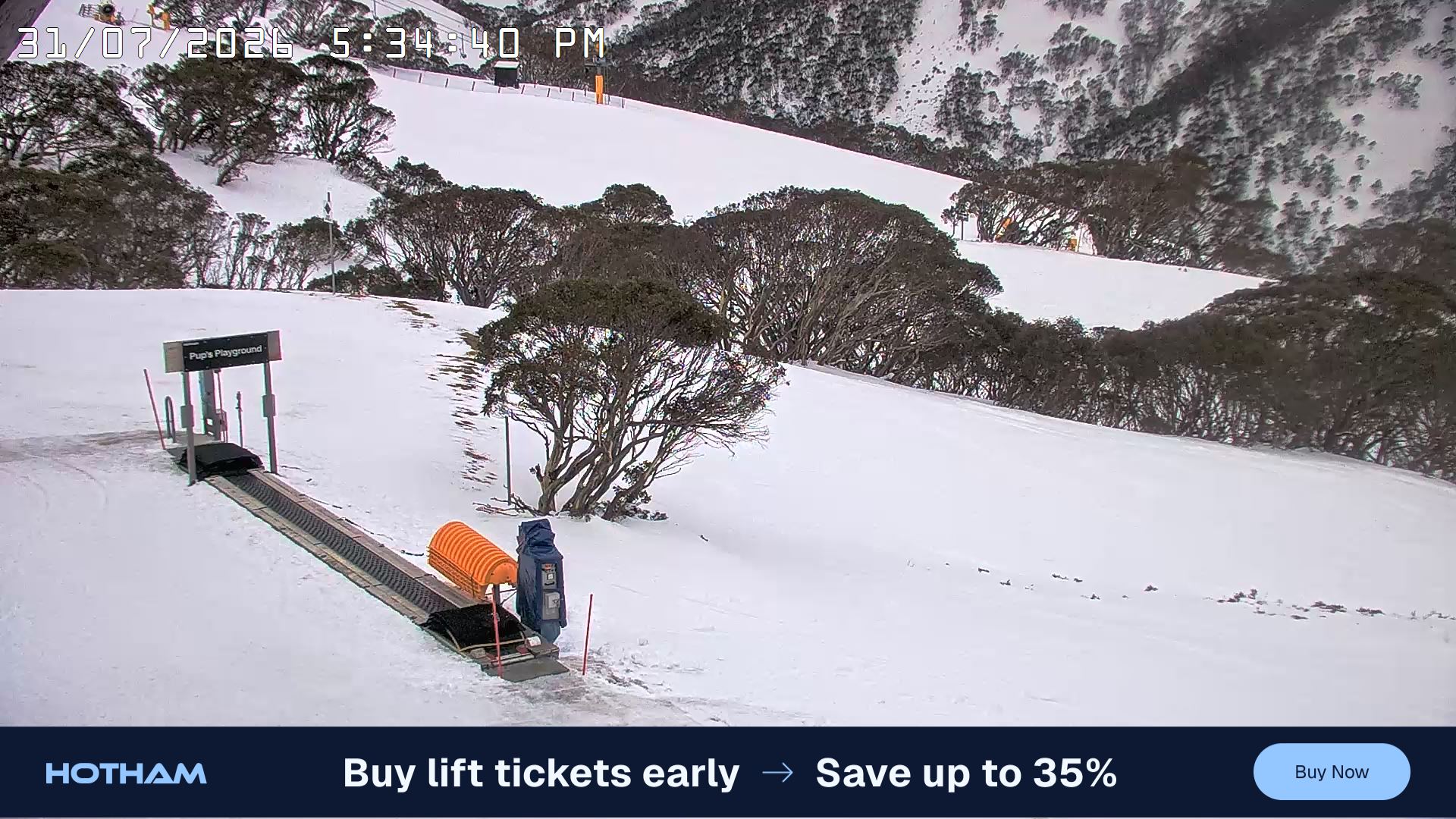 Mt Hotham Pup's and Sun Run snow cam captured at 31 July 2026 at 5:36 pm AEST