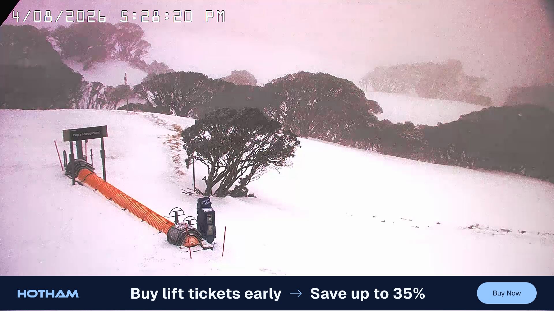 Mt Hotham Pup's and Sun Run snow cam captured at 4 August 2026 at 5:39 pm AEST