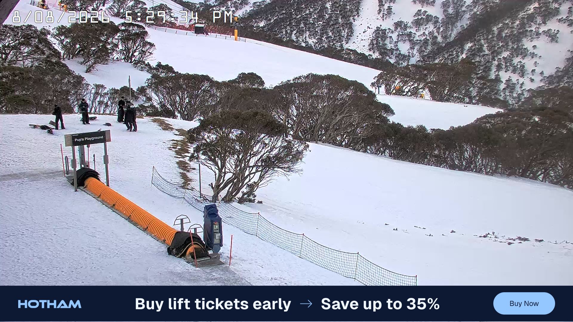 Mt Hotham Pup's and Sun Run snow cam captured at 8 August 2026 at 5:31 pm AEST