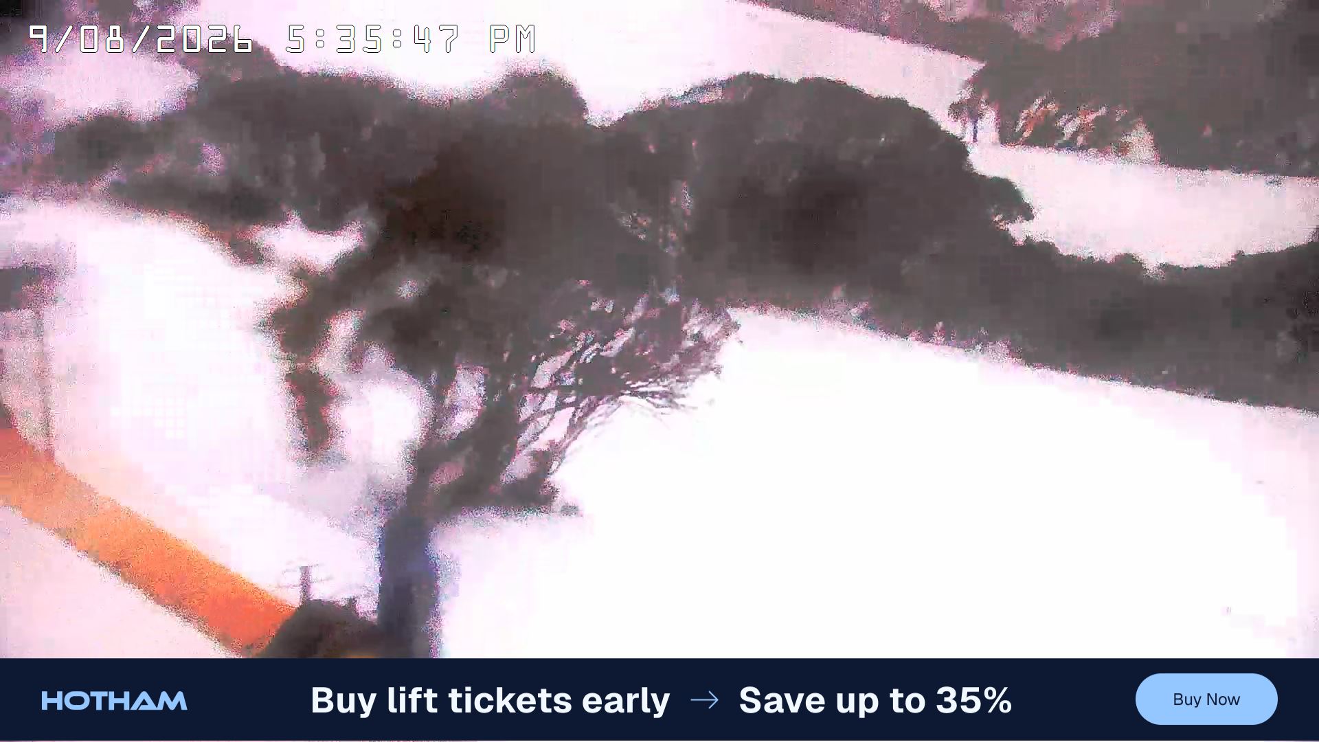 Mt Hotham Pup's and Sun Run snow cam captured at 9 August 2026 at 5:43 pm AEST