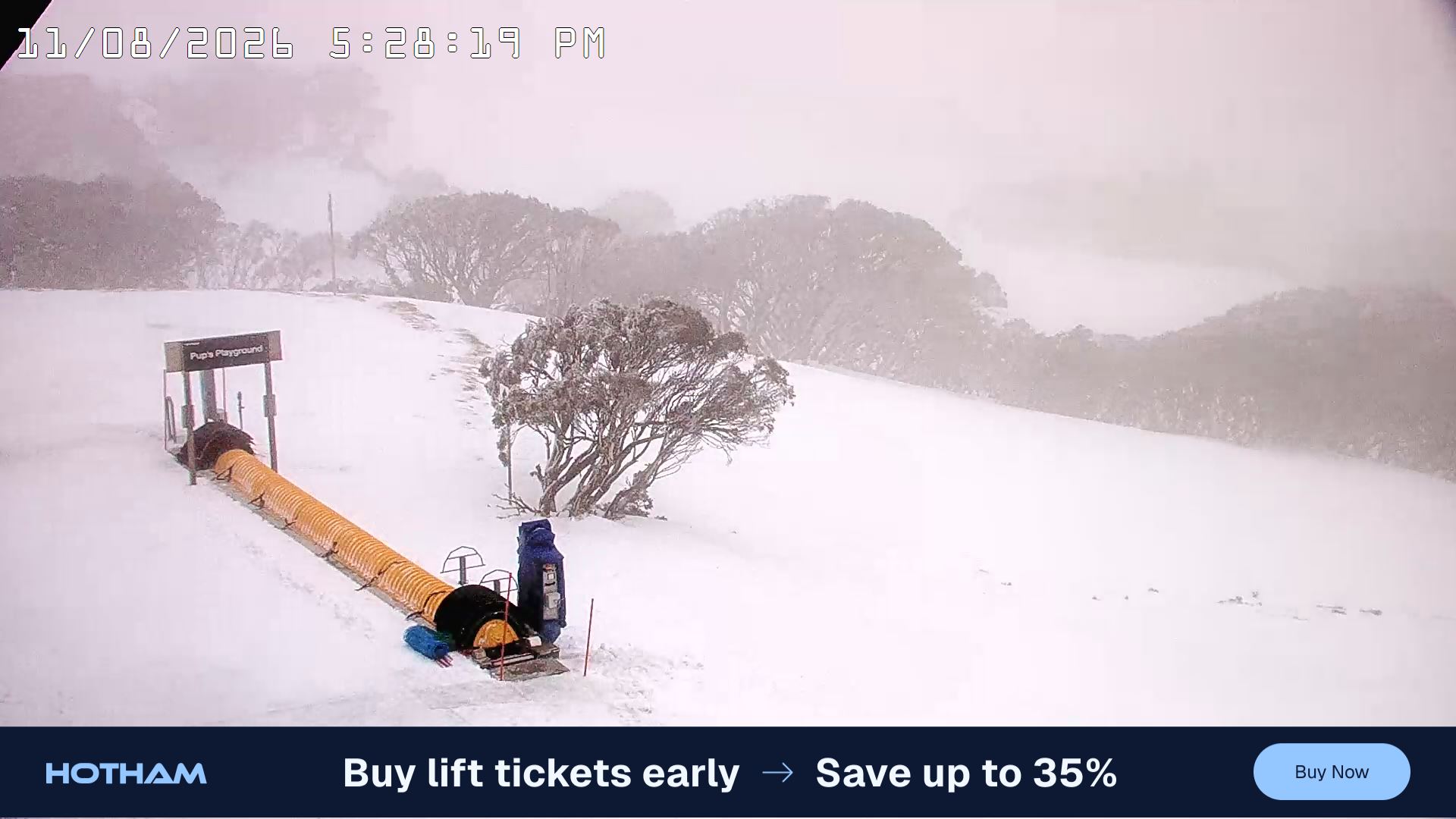 Mt Hotham Pup's and Sun Run snow cam captured at 11 August 2026 at 5:30 pm AEST