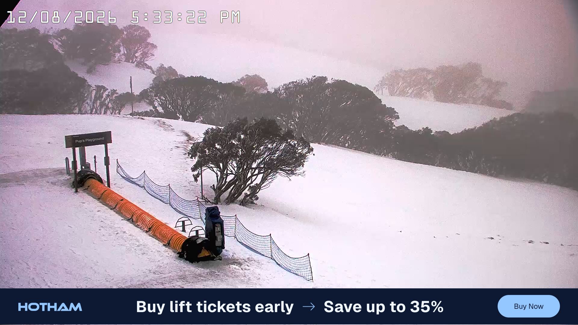 Mt Hotham Pup's and Sun Run snow cam captured at 12 August 2026 at 5:38 pm AEST