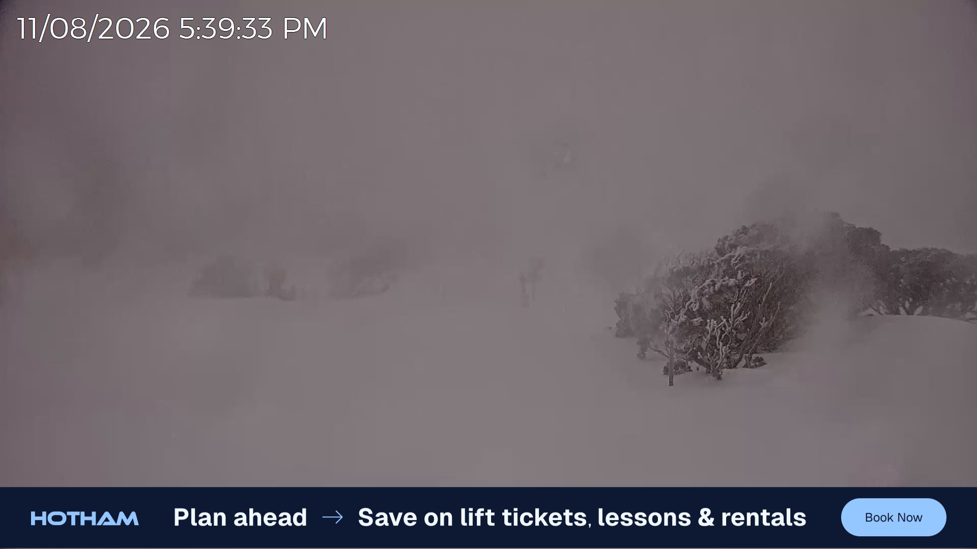 Mt Hotham Skating Rink snow cam captured at 11 August 2026 at 5:41 pm AEST