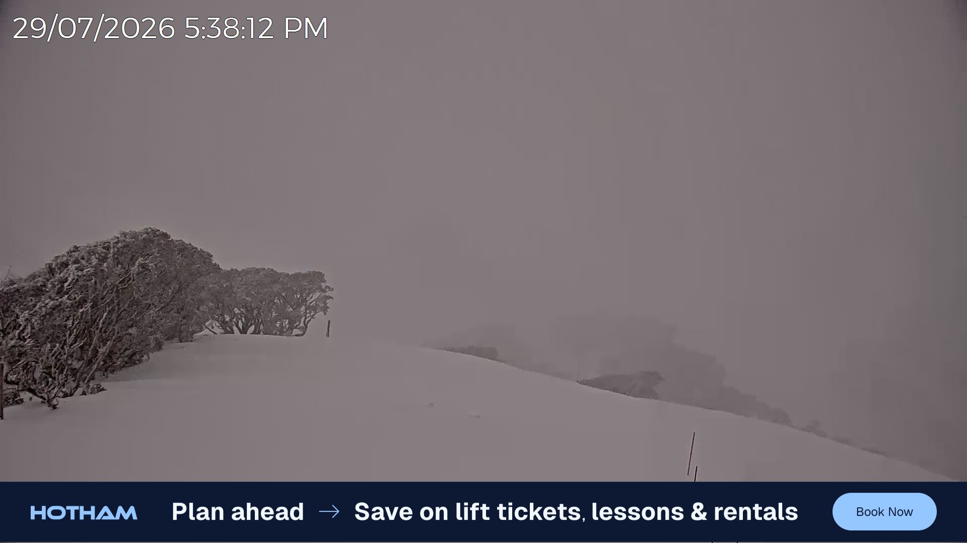 Mt Hotham Gotcha snow cam captured at 29 July 2026 at 5:46 pm AEST