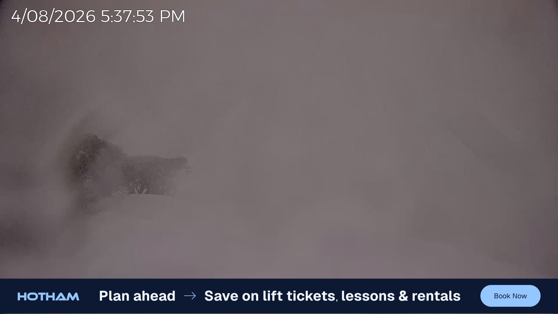 Mt Hotham Gotcha snow cam captured at 4 August 2026 at 5:38 pm AEST