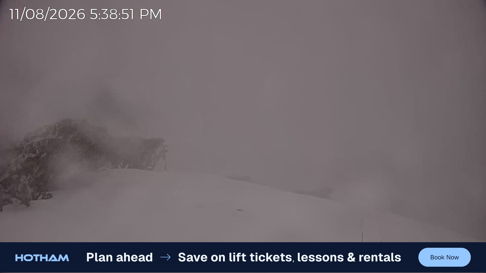 Mt Hotham Gotcha snow cam captured at 11 August 2026 at 5:39 pm AEST
