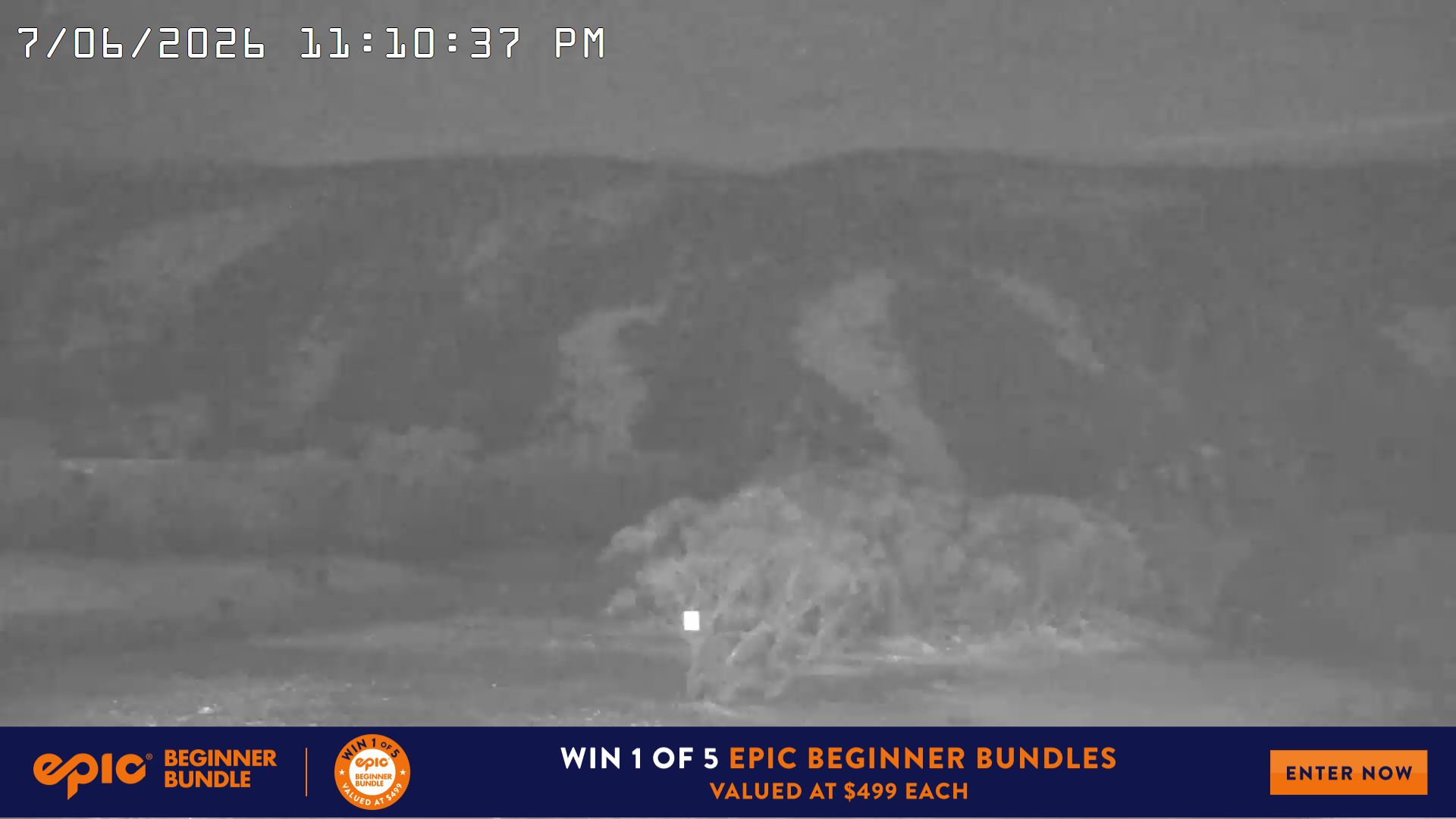 Mt Hotham Golden Point snow cam captured at 7 June 2026, 1:11 pm