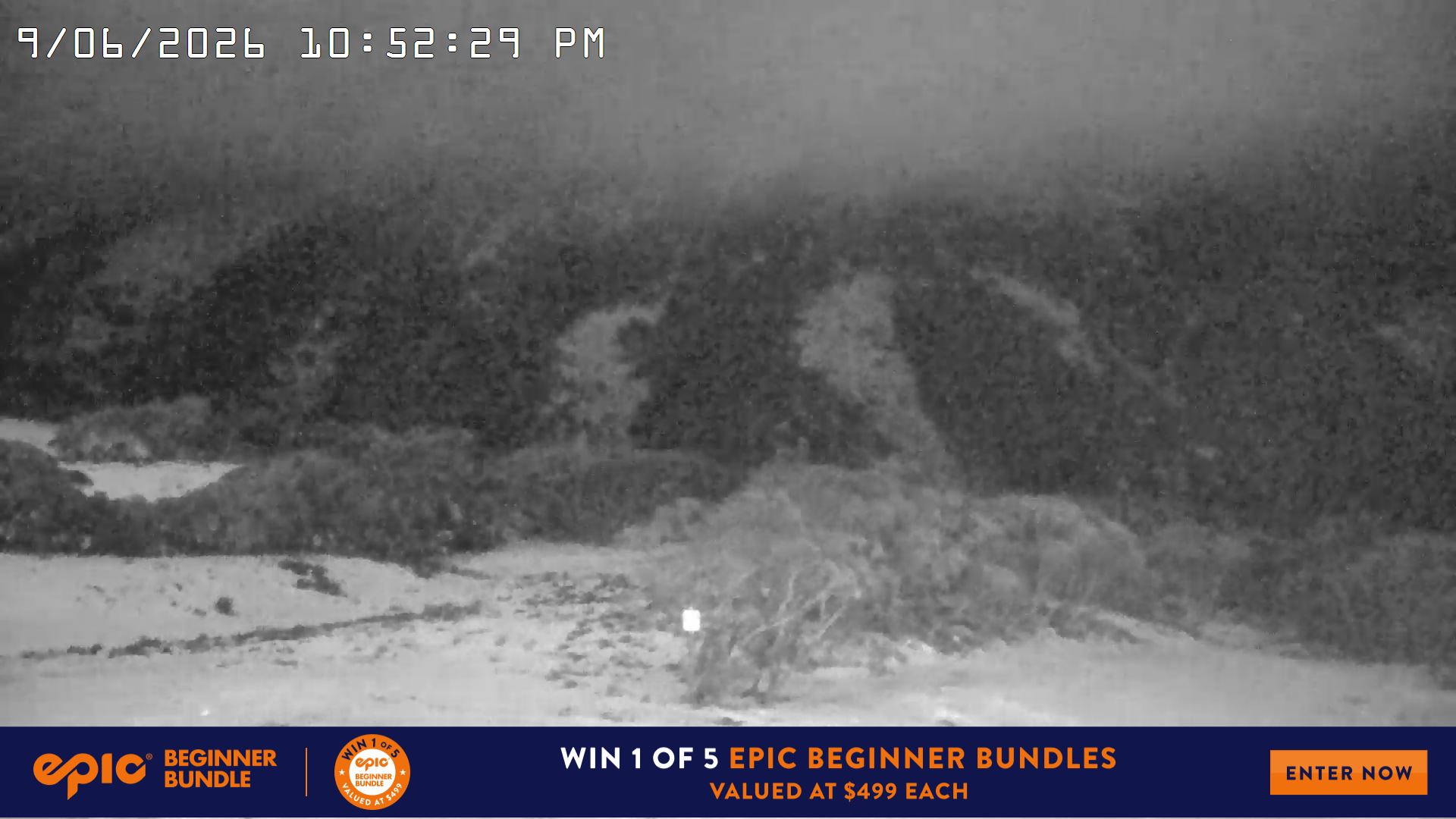 Mt Hotham Golden Point snow cam captured at 9 June 2026, 12:58 pm