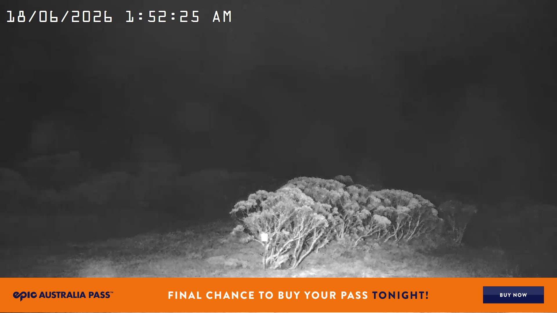 Mt Hotham Golden Point snow cam captured at 17 June 2026, 3:54 pm
