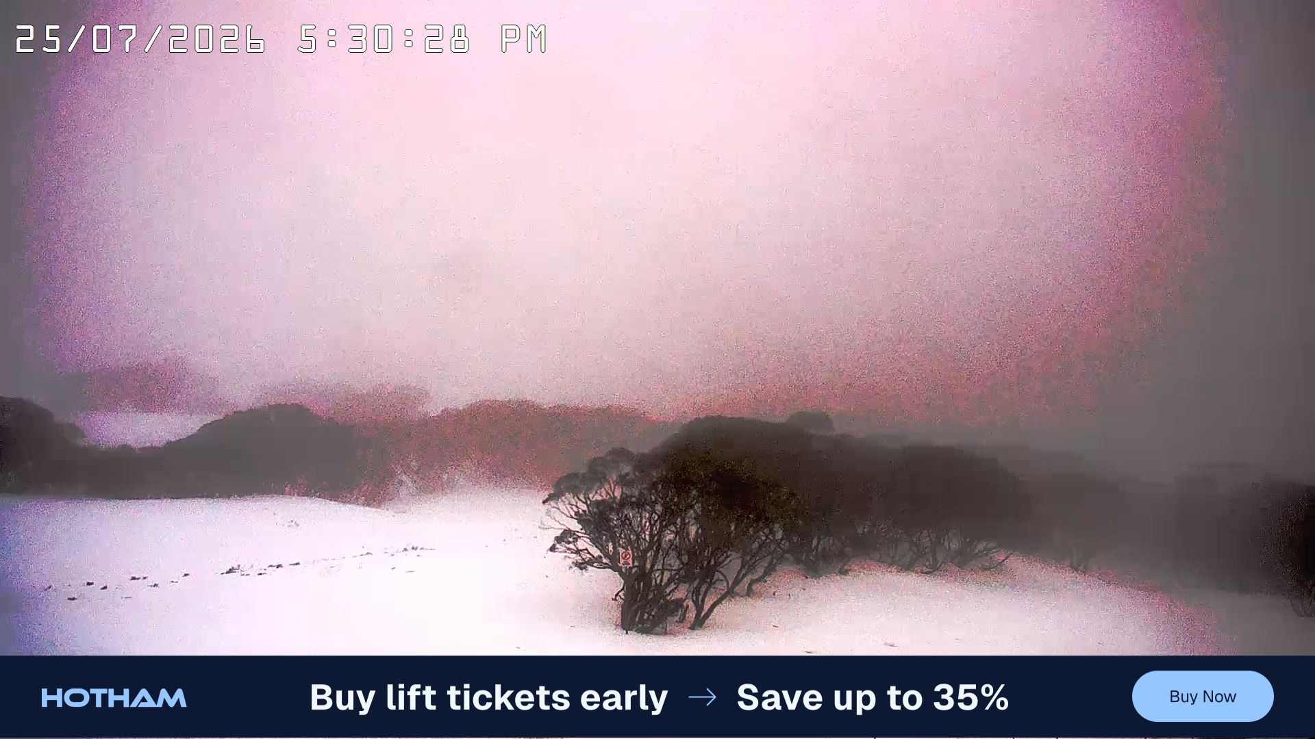 Mt Hotham Golden Point snow cam captured at 25 July 2026 at 5:31 pm AEST