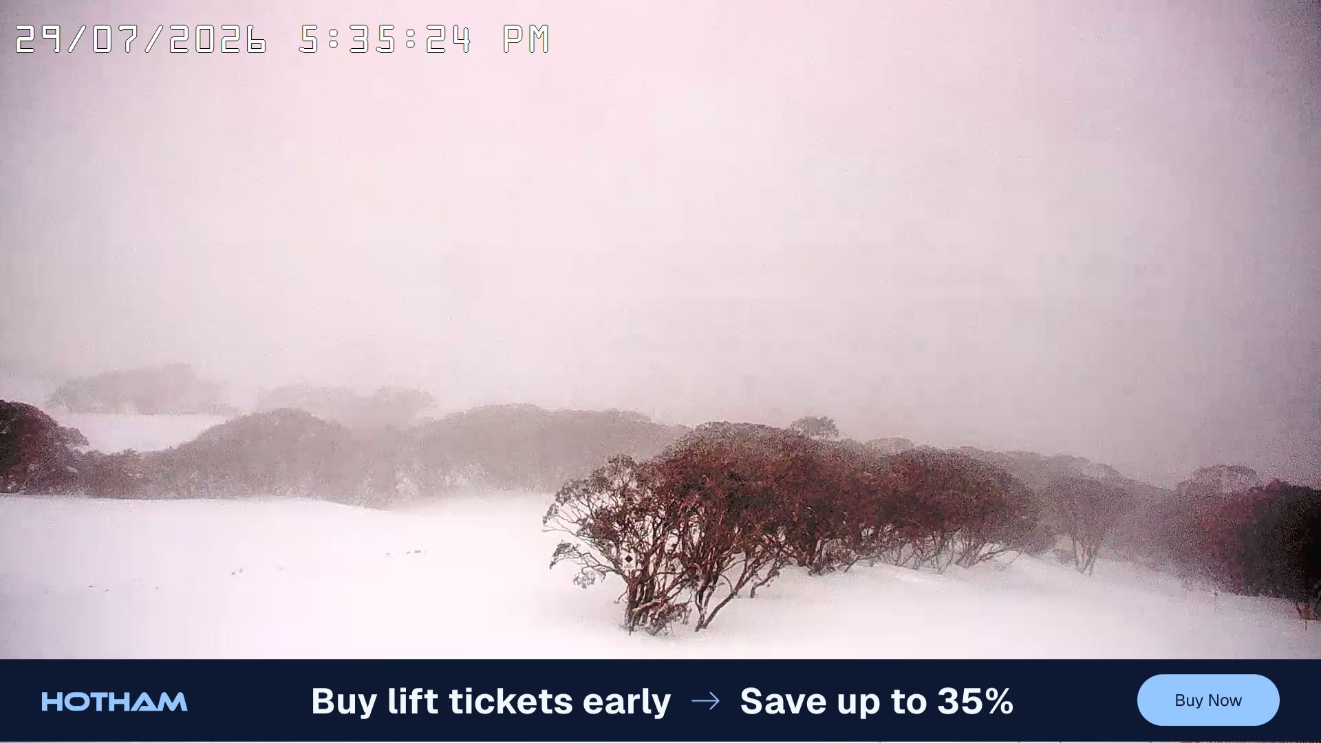 Mt Hotham Golden Point snow cam captured at 29 July 2026 at 5:46 pm AEST