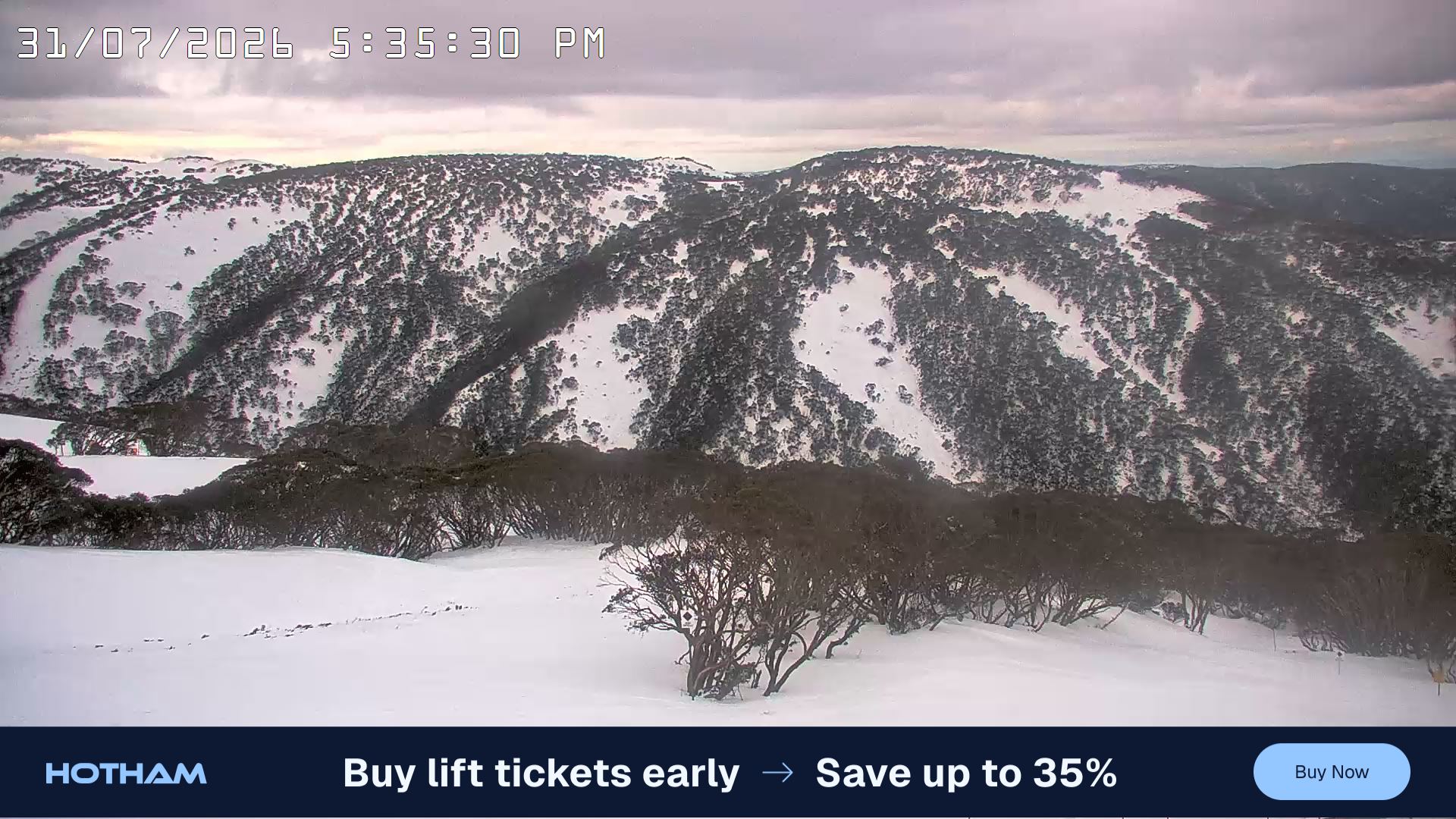 Mt Hotham Golden Point snow cam captured at 31 July 2026 at 5:36 pm AEST