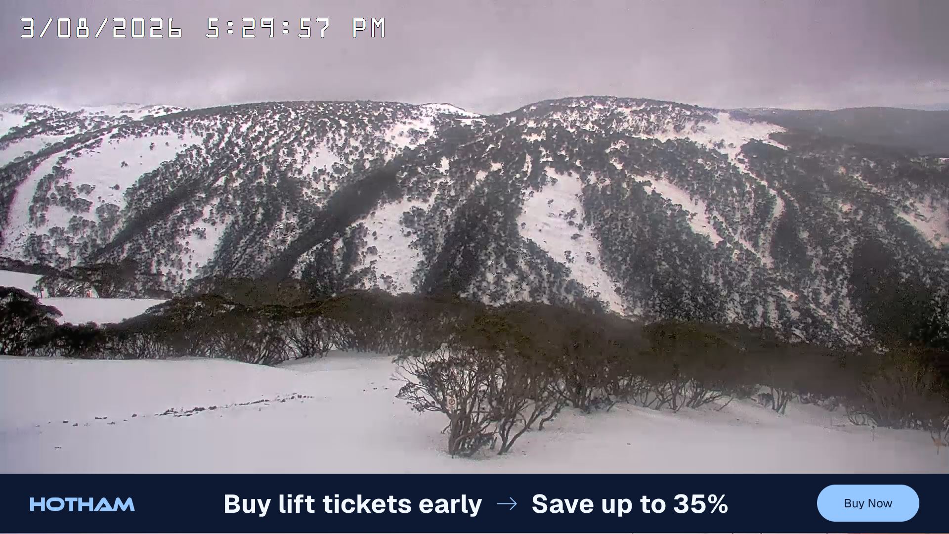 Mt Hotham Golden Point snow cam captured at 3 August 2026 at 5:37 pm AEST