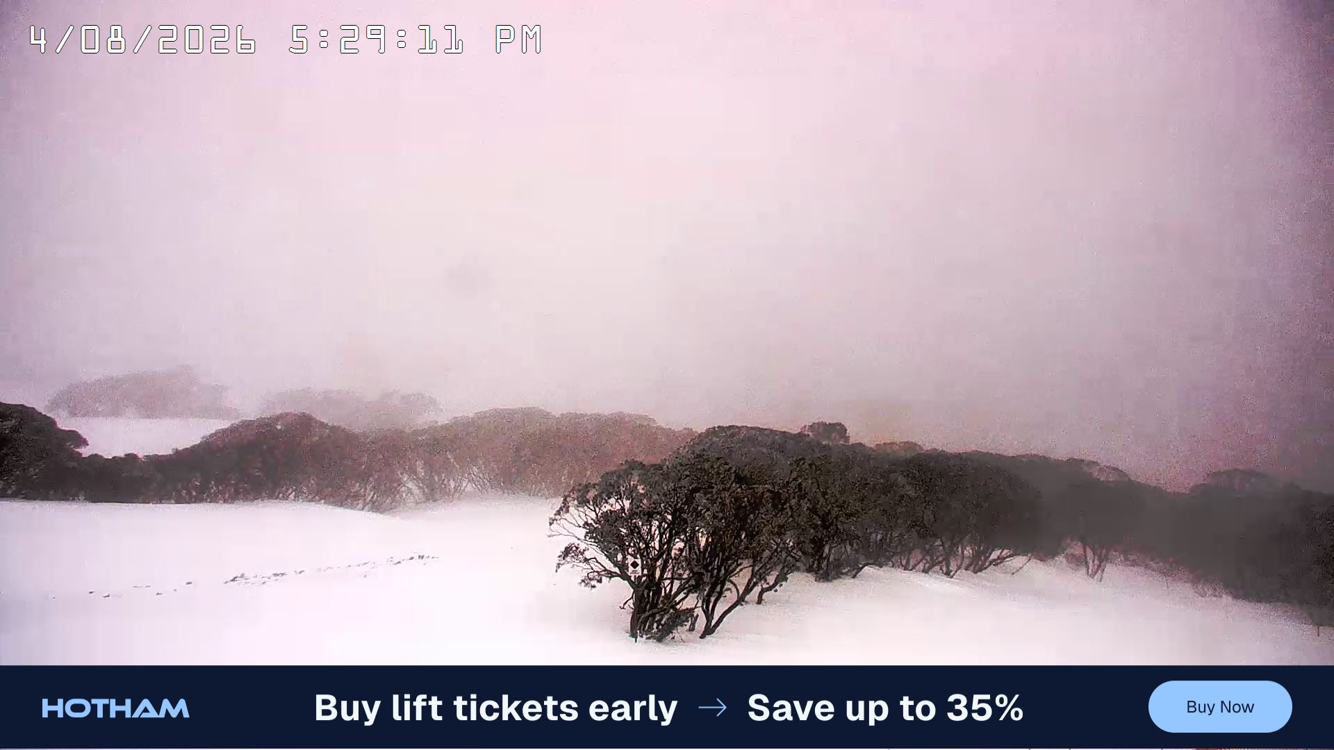 Mt Hotham Golden Point snow cam captured at 4 August 2026 at 5:38 pm AEST