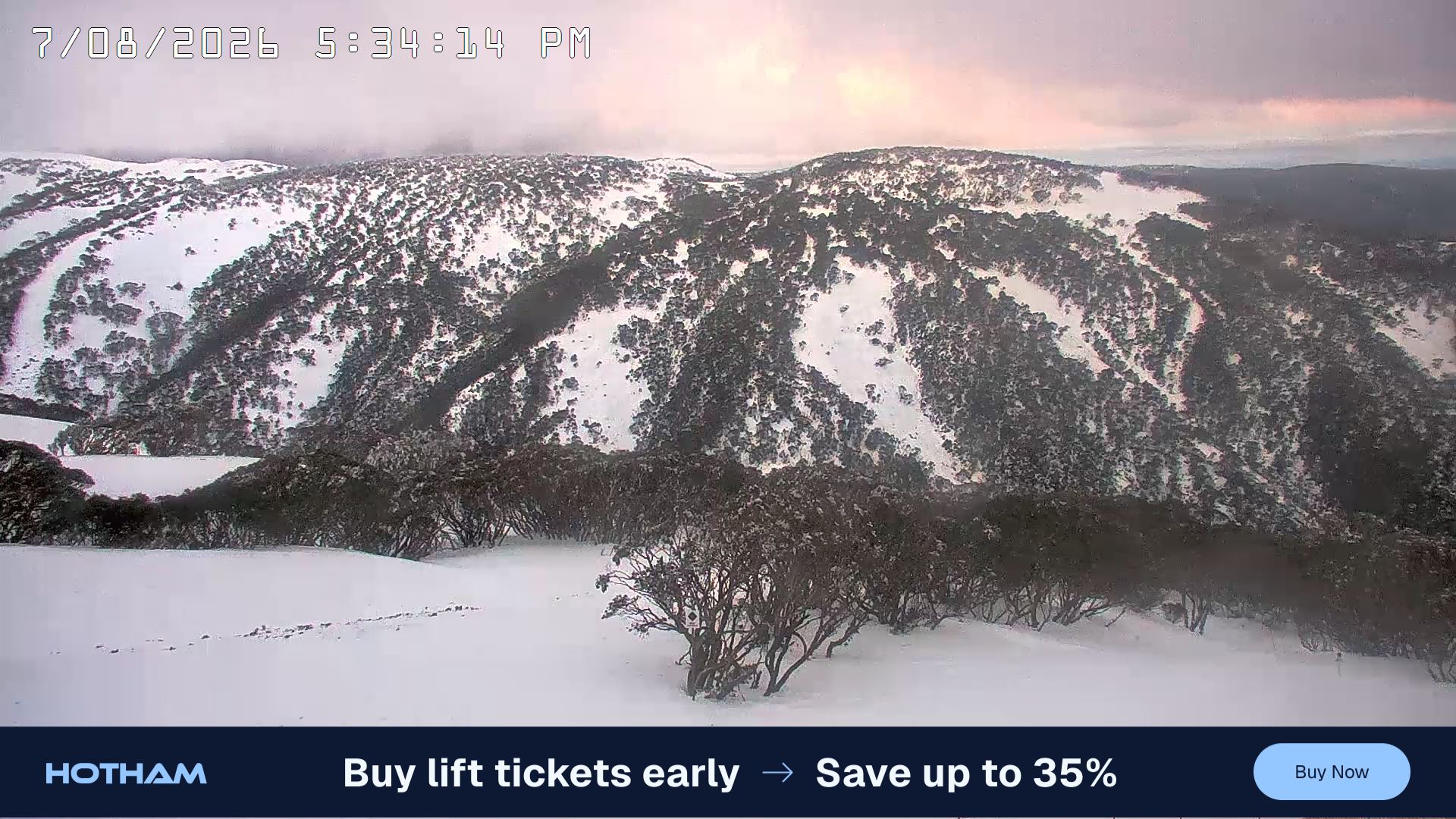 Mt Hotham Golden Point snow cam captured at 7 August 2026 at 5:41 pm AEST