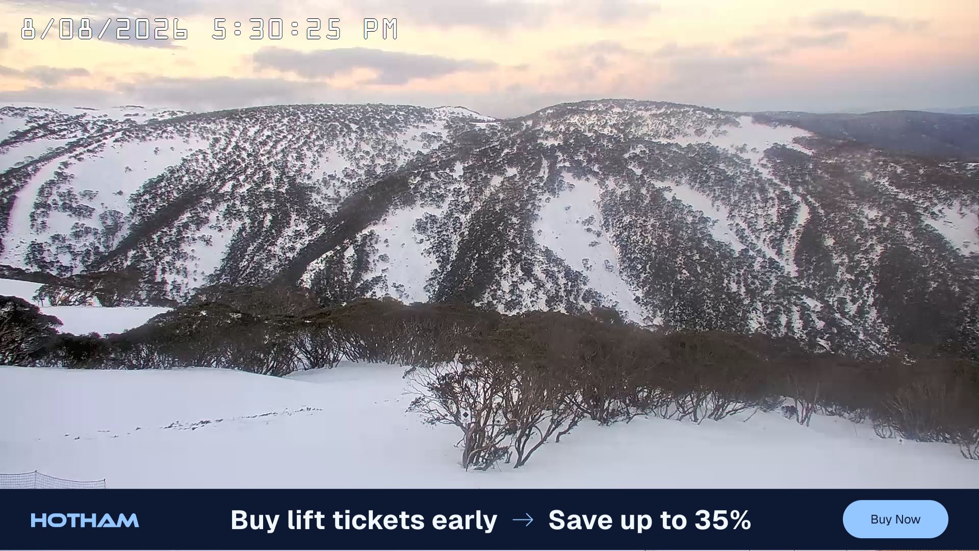 Mt Hotham Golden Point snow cam captured at 8 August 2026 at 5:31 pm AEST