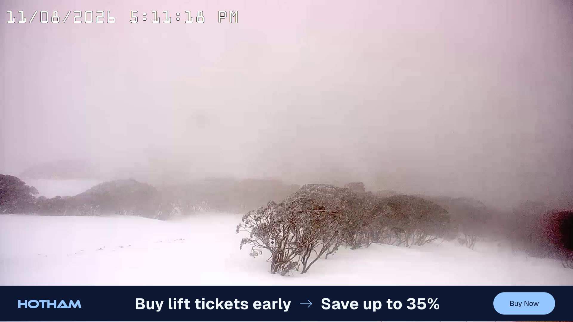 Mt Hotham Golden Point snow cam captured at 11 August 2026 at 5:18 pm AEST